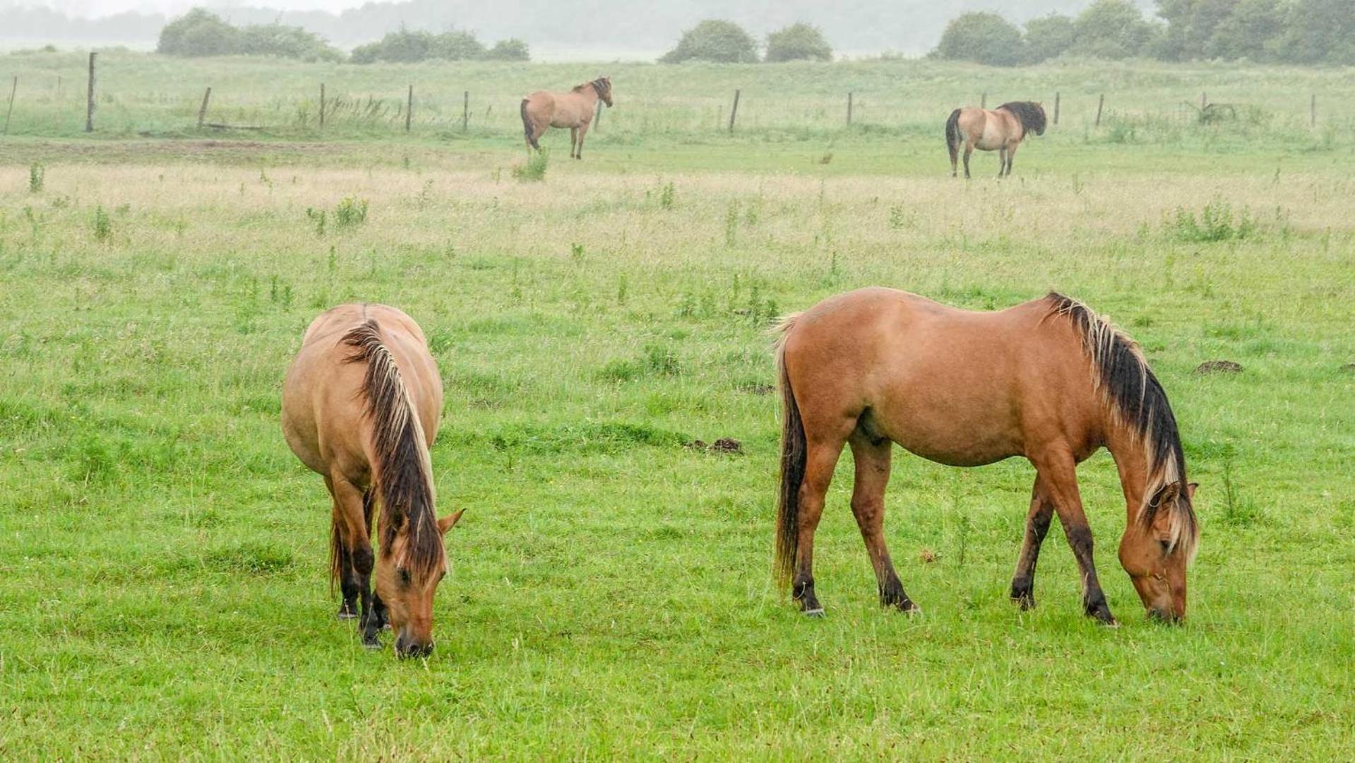 Les 3 Sablieres Saint-Firmin (Le Crotoy)