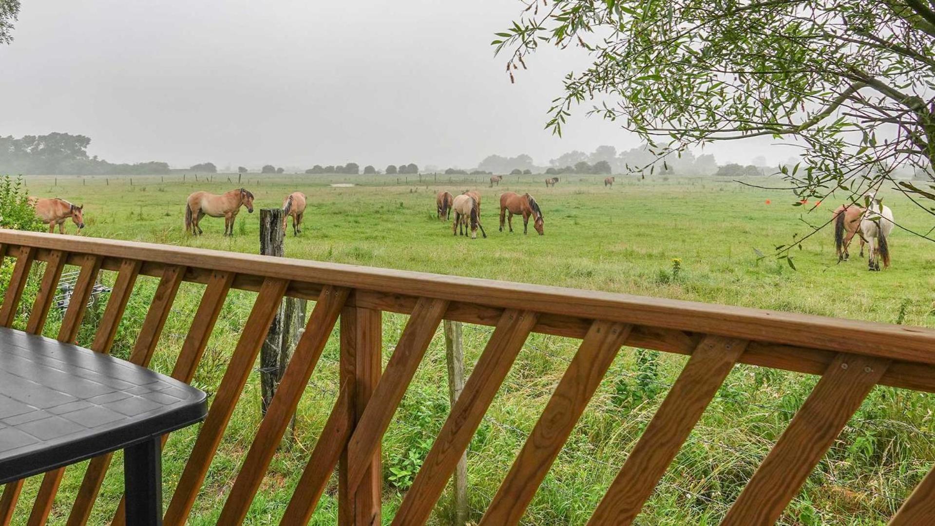 Les 3 Sablières 4 Etoiles Camping 4*